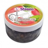 Курительные камни Shiazo Арбуз (Watermelon) 100г 
